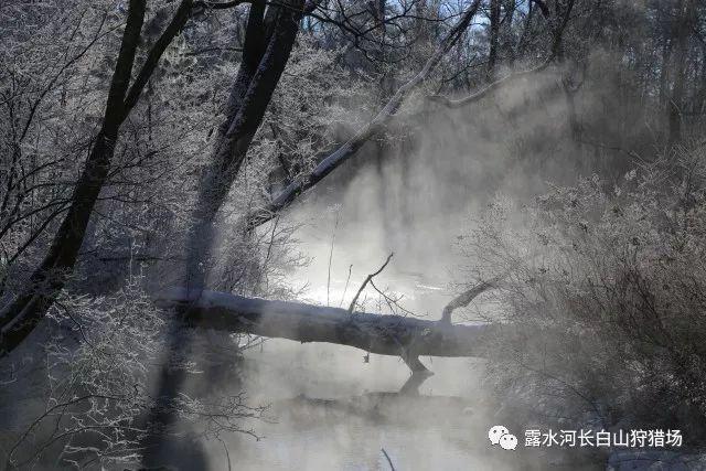 探索光物理学