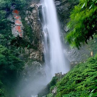 在成都这场“峰生水起”的展览上，十二生肖化为冥想的雕塑